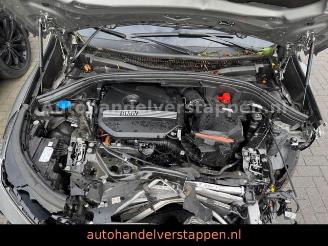 BMW X1 25 E xDrive Sport Plug in Hybrit 180KW picture 12