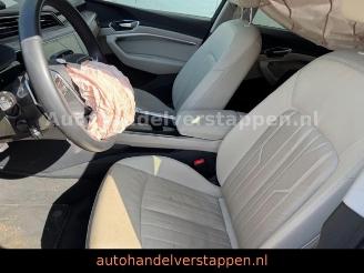 Audi E-tron 55 Quattro Advanced 300KW picture 13