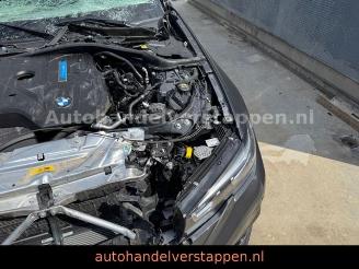 BMW 3-serie 0e 185KW Plug in M Sport Panorama Laser picture 11