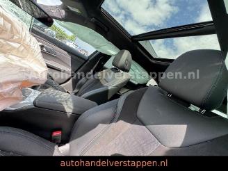 BMW 3-serie 0e 185KW Plug in M Sport Panorama Laser picture 15