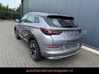 uszkodzony samochody osobowe Opel Grandland X PHEV 165KW Hybrit 2023/11