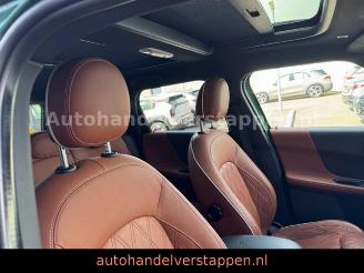 Mini Countryman Cooper d 110KW Aut Pano LEder ful LED picture 20