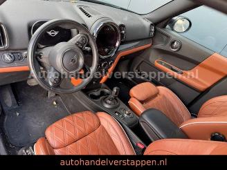 Mini Countryman Cooper d 110KW Aut Pano LEder ful LED picture 14
