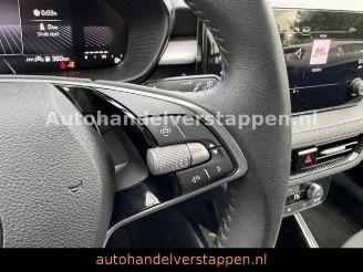 Skoda Fabia Selection DAB+ Klima R-Cam picture 20