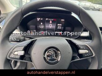 Skoda Fabia Selection DAB+ Klima R-Cam picture 18