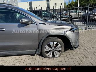 Mercedes EQA 300 4Matic Luxery line picture 9