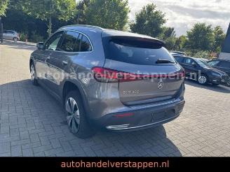 Mercedes EQA 300 4Matic Luxery line picture 2