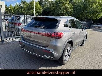 Mercedes EQA 300 4Matic Luxery line picture 6