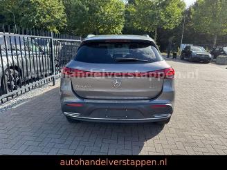 Mercedes EQA 300 4Matic Luxery line picture 5
