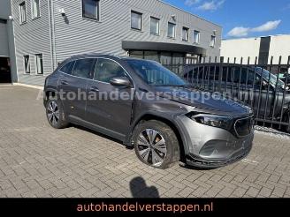 Mercedes EQA 300 4Matic Luxery line picture 7