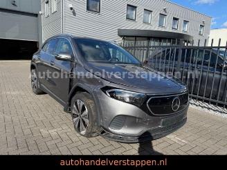 Mercedes EQA 300 4Matic Luxery line picture 3