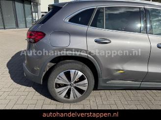 Mercedes EQA 300 4Matic Luxery line picture 10