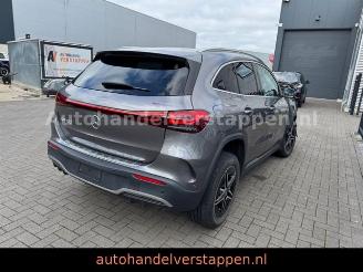 Mercedes EQA 250 AMG Sport Line 67KWH picture 6