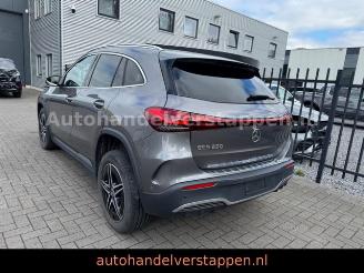 Mercedes EQA 250 AMG Sport Line 67KWH picture 3