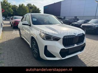 BMW X1 20 i sDrive M Sport Auto Panorama picture 2