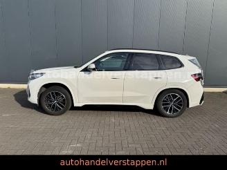 BMW X1 20 i sDrive M Sport Auto Panorama picture 7