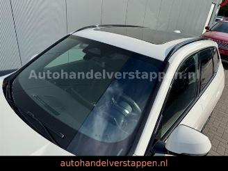 BMW X1 20 i sDrive M Sport Auto Panorama picture 12