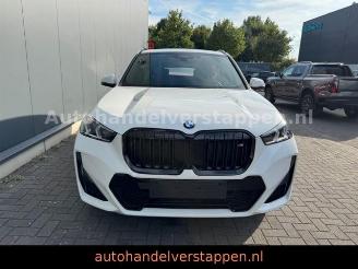 BMW X1 20 i sDrive M Sport Auto Panorama picture 5