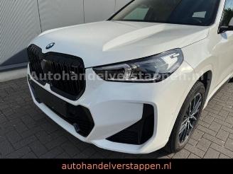 BMW X1 20 i sDrive M Sport Auto Panorama picture 4