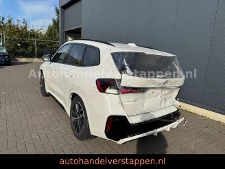 BMW X1 20 i sDrive M Sport Auto Panorama picture 11