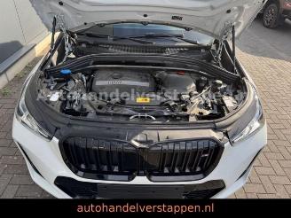 BMW X1 20 i sDrive M Sport Auto Panorama picture 14