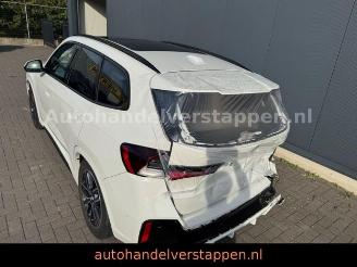 BMW X1 20 i sDrive M Sport Auto Panorama picture 8