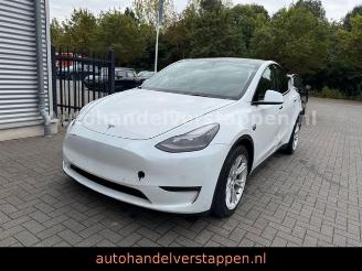 Unfallwagen Tesla Model Y Long Range Dual AWD Pano Leder 2022/8