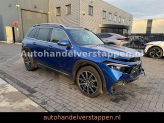 Mercedes EQB 250+ AMG SPORTPAKET 71KWH STAR EDITION picture 5