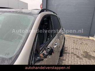 Mercedes GLE 350 de 4Matic AMG Sport Pano Burm AHK picture 9