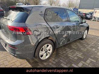 Volkswagen Golf VIII 2.0 SCR TDi Life Business Premium DSG picture 12