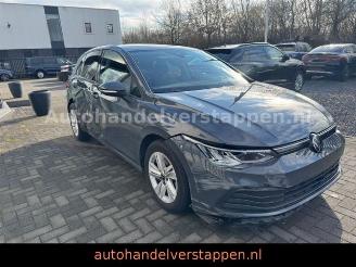 Volkswagen Golf VIII 2.0 SCR TDi Life Business Premium DSG picture 19