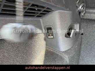 Volkswagen Golf VIII 2.0 SCR TDi Life Business Premium DSG picture 26