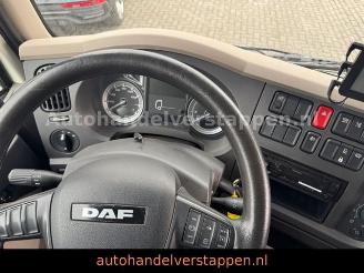 DAF   picture 27