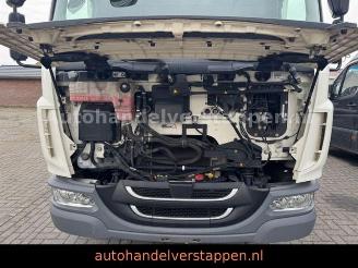DAF   picture 18
