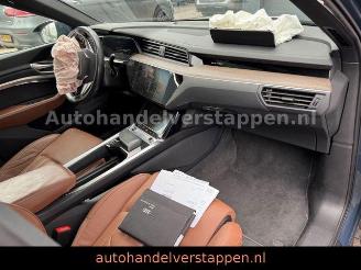 Audi Q8 e-tron 55 Quattro S line Panorama picture 22