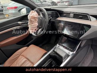 Audi Q8 e-tron 55 Quattro S line Panorama picture 21