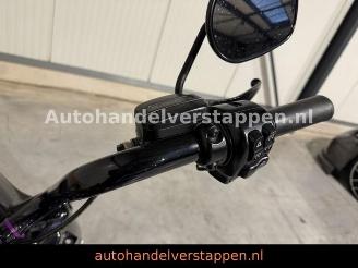 Harley-Davidson Road King Special - Krugger picture 10