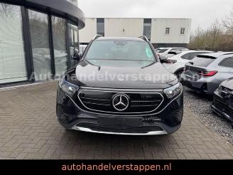 Mercedes EQB 250 Advanced 140KW Navi+ Leder 7Personen picture 7