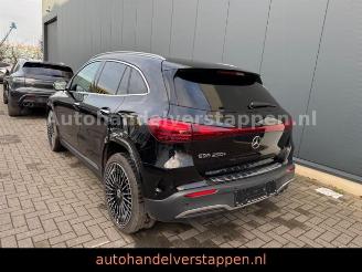 Mercedes EQA 250+ AMG Sport HUD Burm 20'' DRIVE picture 2