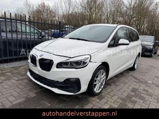 Schadeauto BMW 2-serie 18I Gran Coupé Advantage Automatik 7-sitzer 2020/3