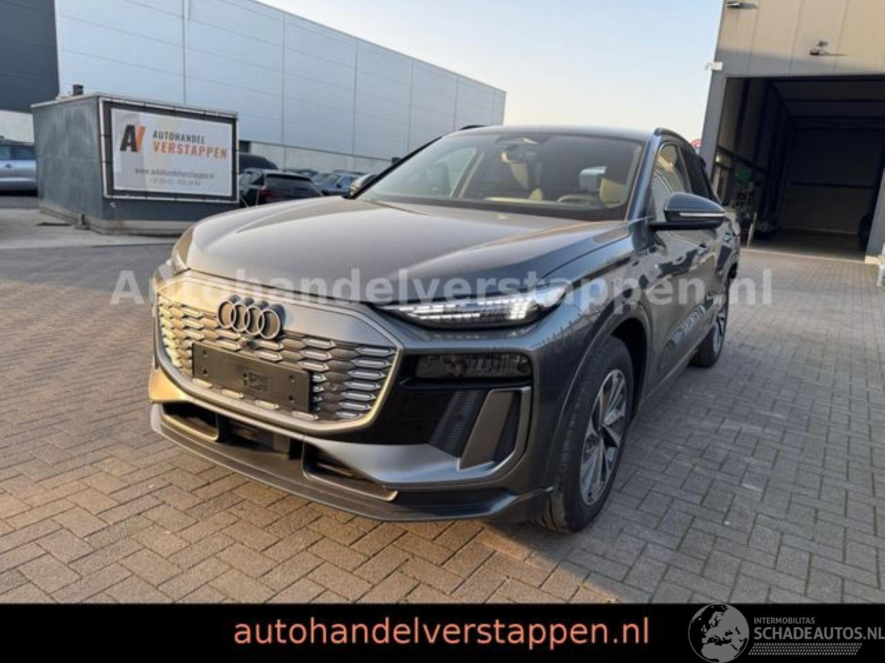Audi Q6 e-tron 215KW S-LINE Daytonagrau Matrix 3 disp