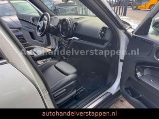 Mini Countryman COOPER DAB+ picture 19