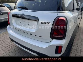 Mini Countryman COOPER DAB+ picture 5