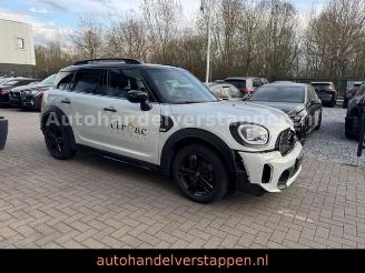 Mini Countryman COOPER DAB+ picture 7
