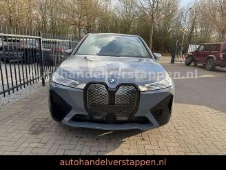 BMW iX 40 xDrive 240KW Sport Glas Dach Harman FULL picture 2