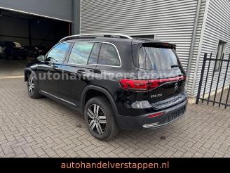 Mercedes EQB 300 4Matic 168KW Progressive Panorama FULL picture 6