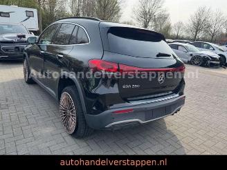 Mercedes EQA 250+ Edition 1 START EDITION FULL OPTION picture 2