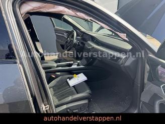 Audi E-tron 55 Quattro S line Sport Panorama FULL CAM picture 32