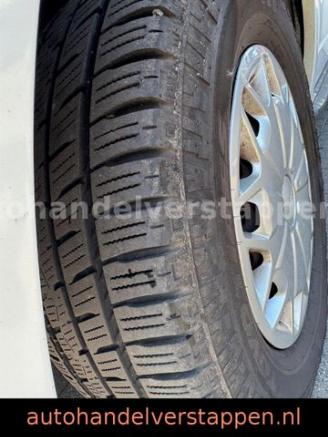 Roller Team   picture 15