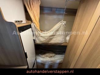 Roller Team   picture 30